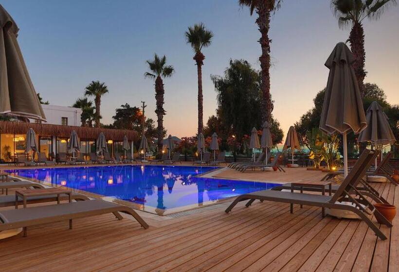 호텔 Yalıpark Beach