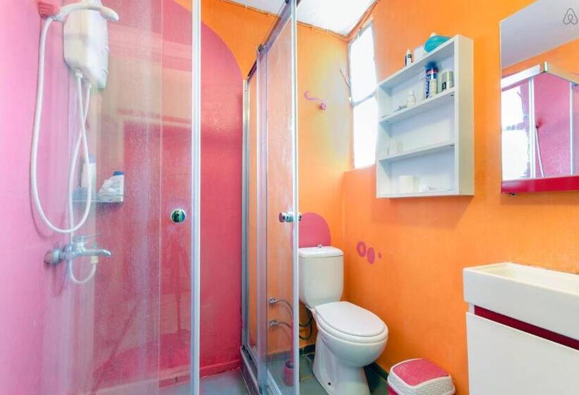 هاستل Shantihome