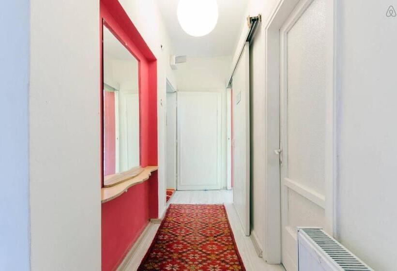 هاستل Shantihome