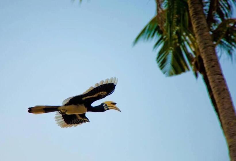 Bed and Breakfast Baan Anattaya Koh Yao Noi