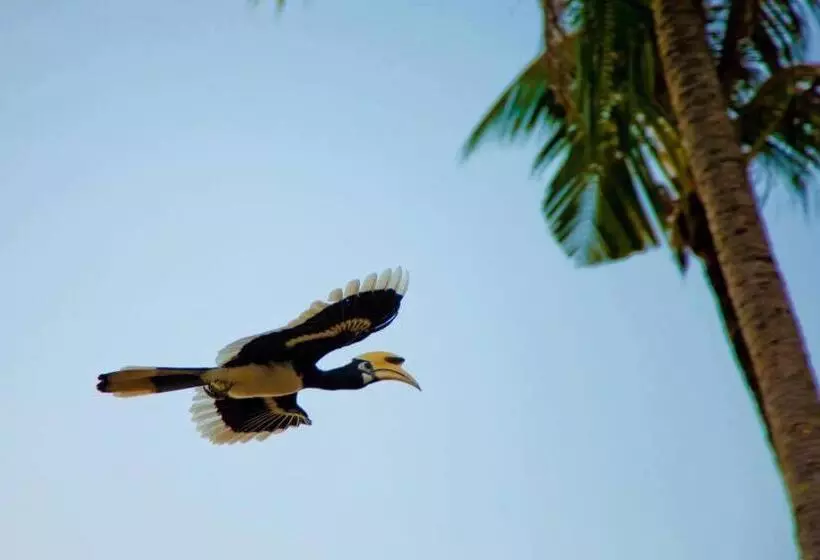 ベッドアンドブレックファースト Baan Anattaya Koh Yao Noi