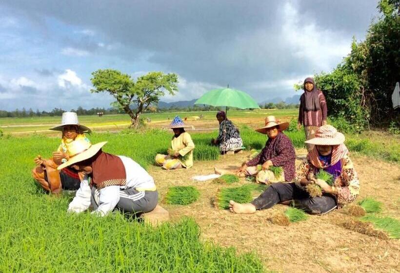 Bed and Breakfast Baan Anattaya Koh Yao Noi