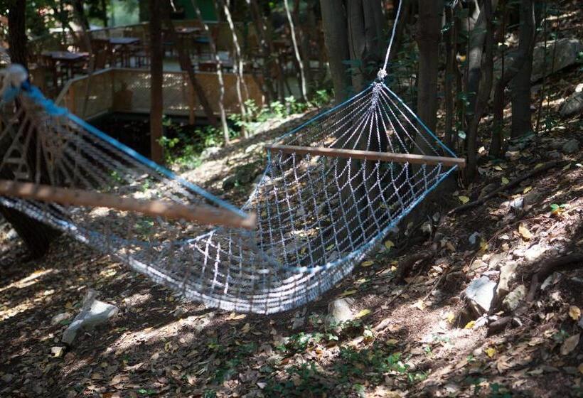 تختخواب و صبحانه Ekinoks Hotel Adults Only