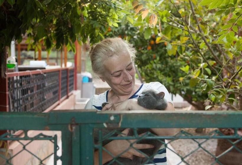 تختخواب و صبحانه Ekinoks Hotel Adults Only