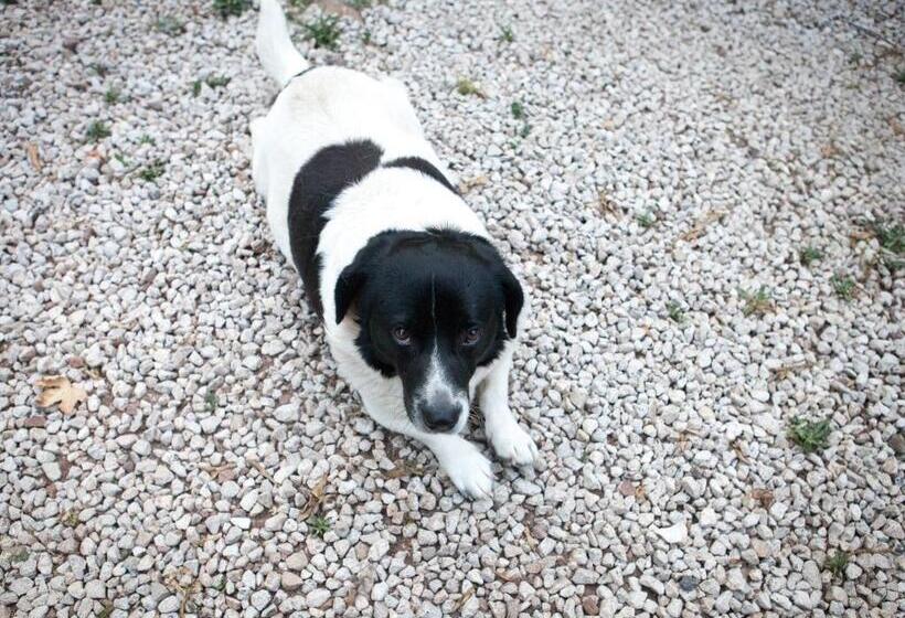 تختخواب و صبحانه Ekinoks Hotel Adults Only