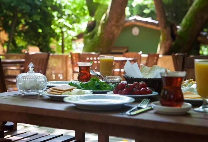 تختخواب و صبحانه Ekinoks Hotel   Adults Only