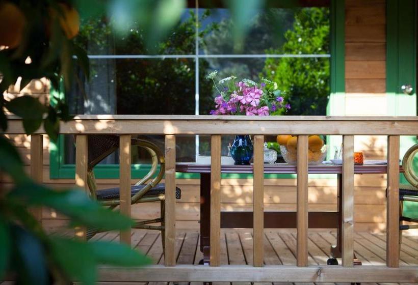 تختخواب و صبحانه Ekinoks Hotel Adults Only