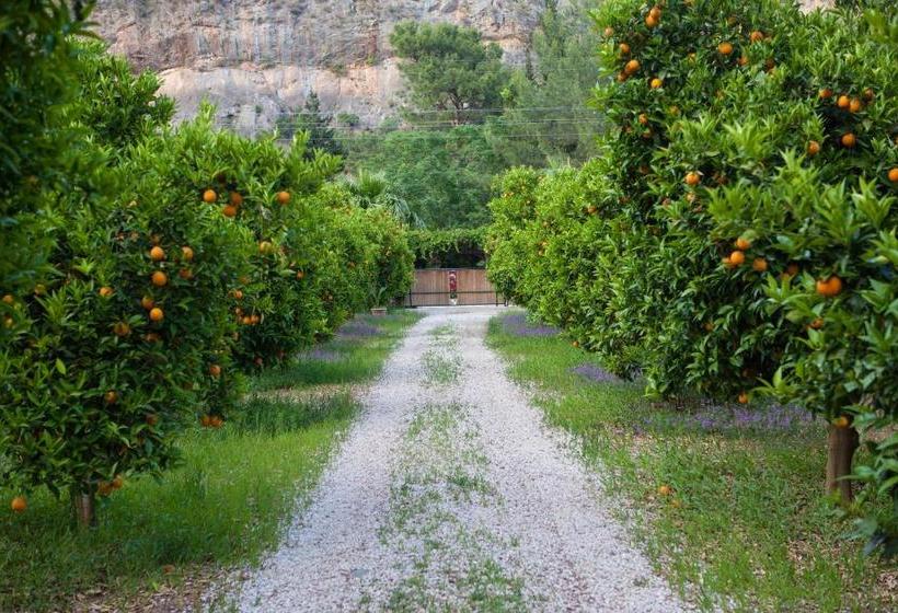 تختخواب و صبحانه Ekinoks Hotel Adults Only