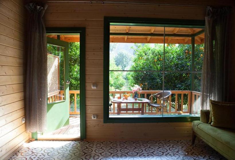 تختخواب و صبحانه Ekinoks Hotel Adults Only