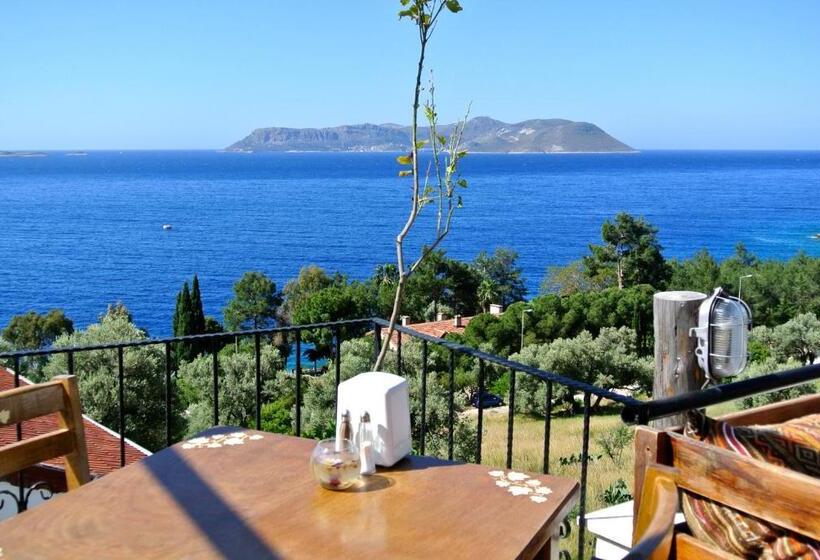 בית מלון כפרי Hideaway