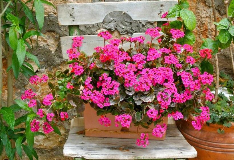 בית מלון כפרי Hideaway