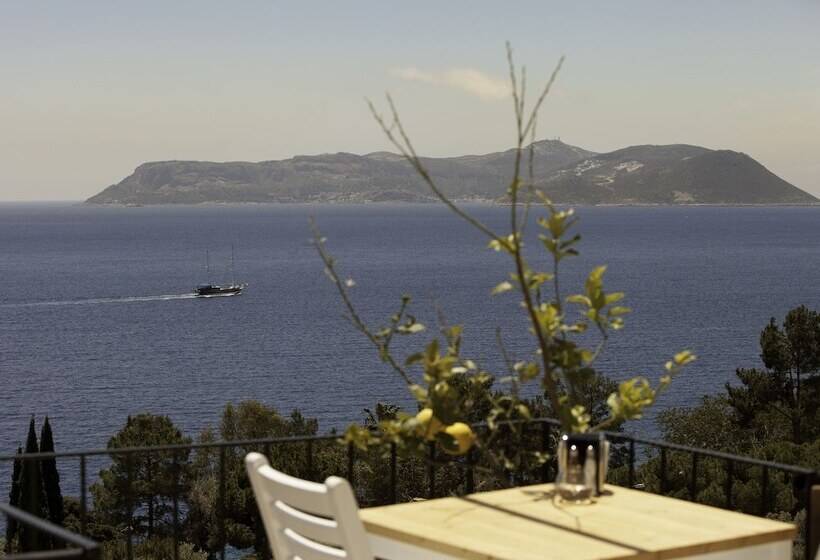 בית מלון כפרי Hideaway