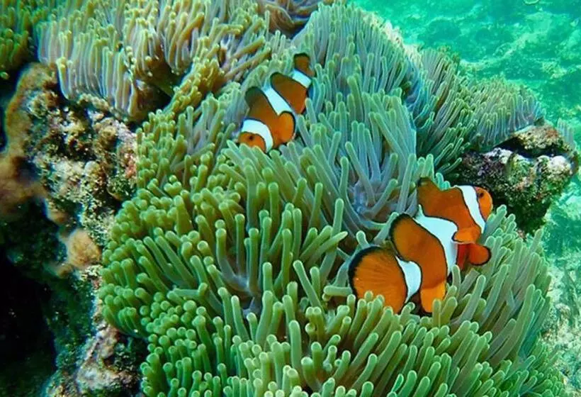 هتل Krabi Grand