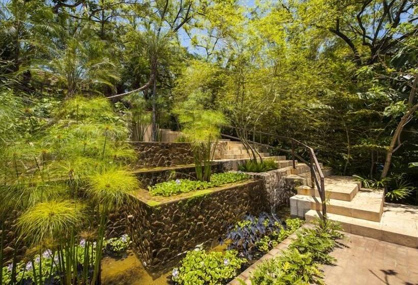 ホテル Tw Guaimbe Exclusive Suites