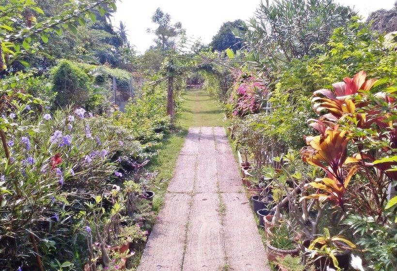 Пансион Baan Bon Homestay Amphawa