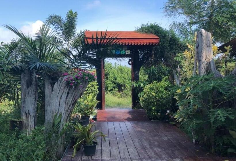 استراحتگاه Tree Roots Retreat