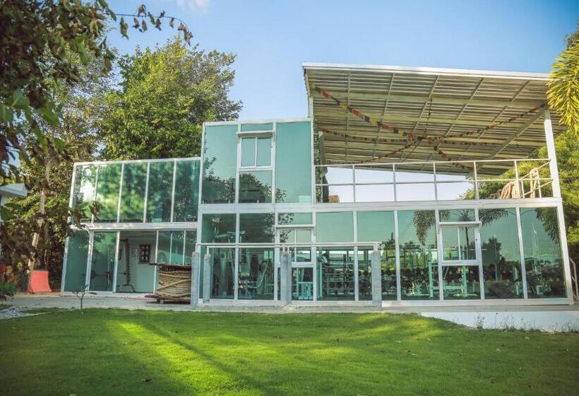 استراحتگاه Tree Roots Retreat