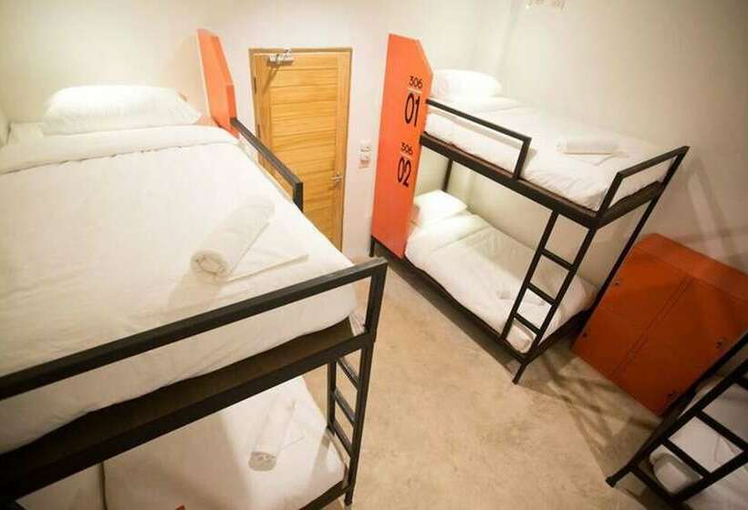 Mad Monkey Chiang Mai   Hostel