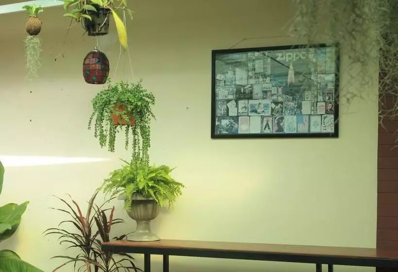 تختخواب و صبحانه Maesai Holic Lodge