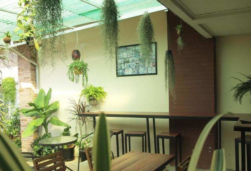 住宿加早餐 Maesai Holic Lodge