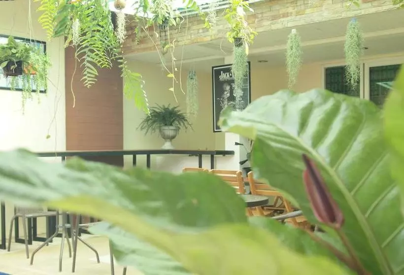 تختخواب و صبحانه Maesai Holic Lodge