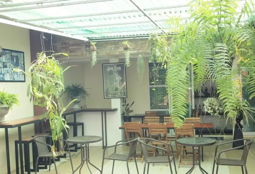 تختخواب و صبحانه Maesai Holic Lodge