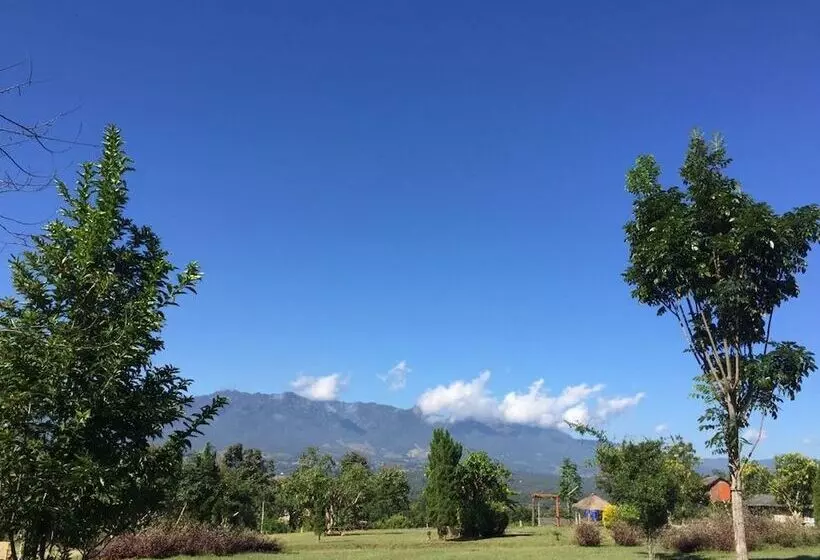 هتل Romantic Time Mountain Resort