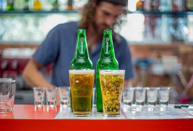 Mad Monkey Chiang Mai   Hostel