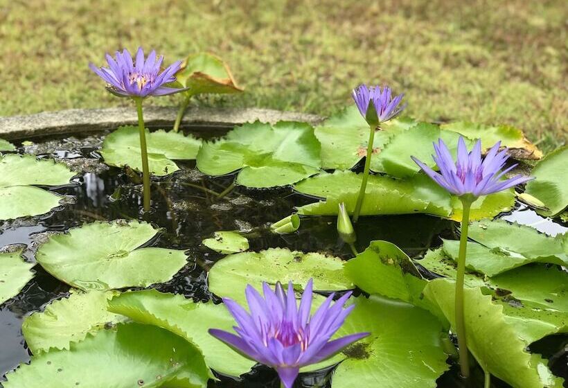 Nai Harn Baan Bua Villas