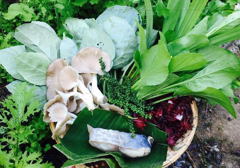 بنسيون Baan Patcharintorn Samui