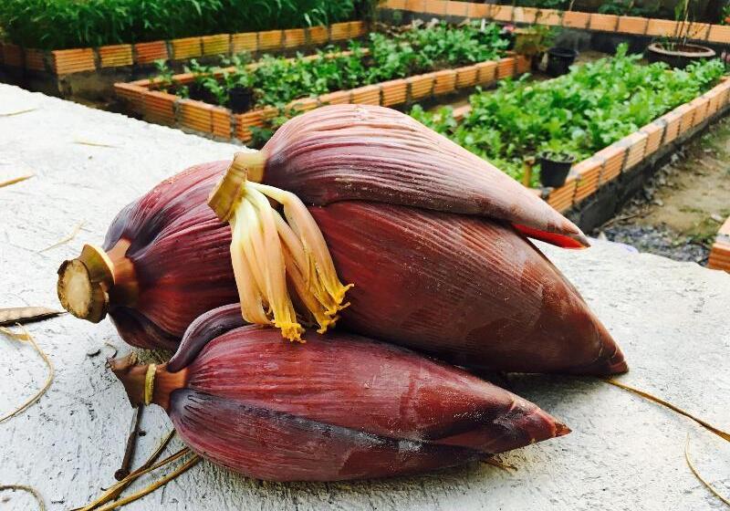 بنسيون Baan Patcharintorn Samui