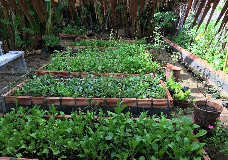 بنسيون Baan Patcharintorn Samui