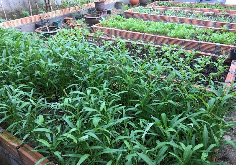 بنسيون Baan Patcharintorn Samui