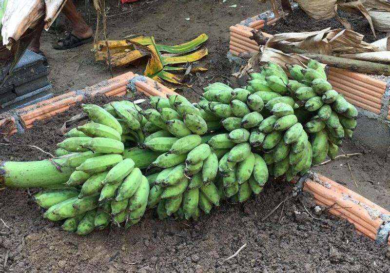 بنسيون Baan Patcharintorn Samui