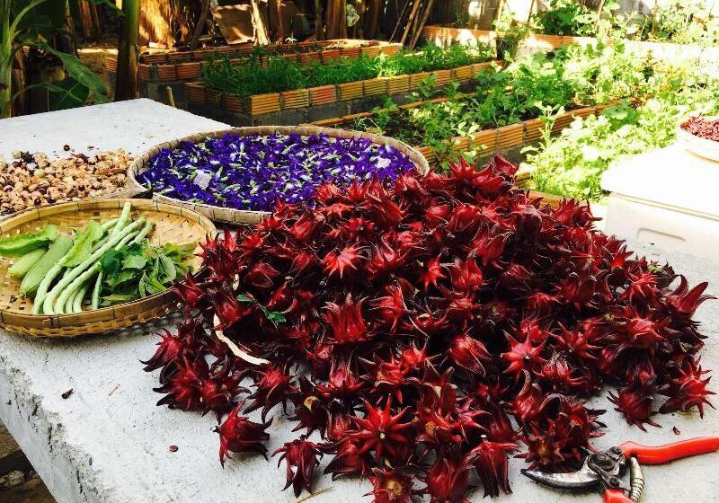 بنسيون Baan Patcharintorn Samui