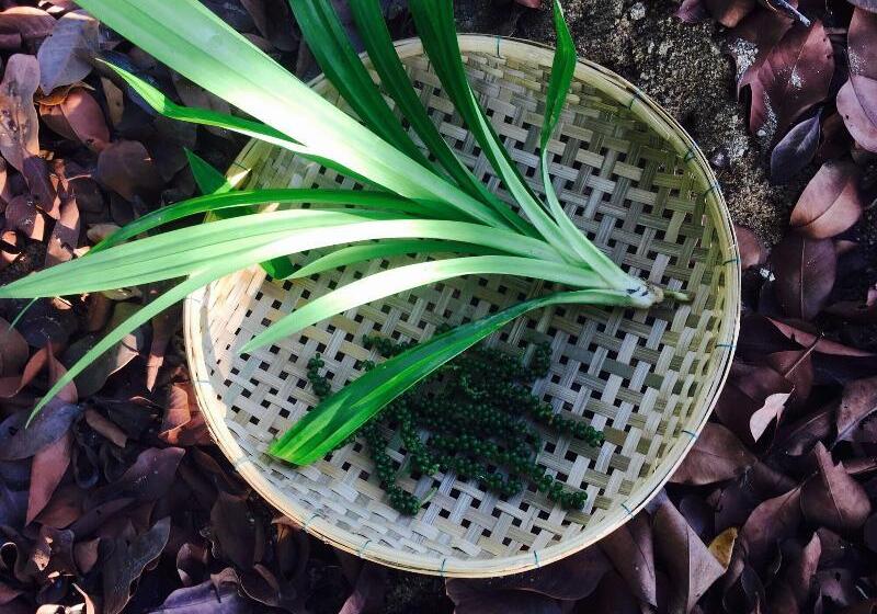 بنسيون Baan Patcharintorn Samui