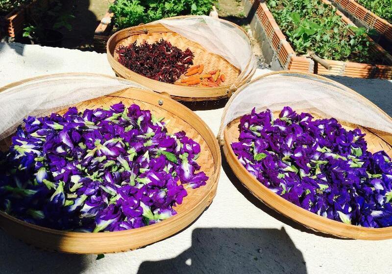 بنسيون Baan Patcharintorn Samui