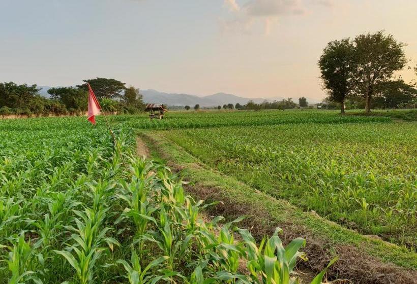 Rom Mai Sai Tarn Resort