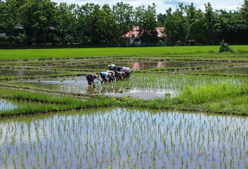 مبيت وإفطار Villa Albizia, Chiang Mai