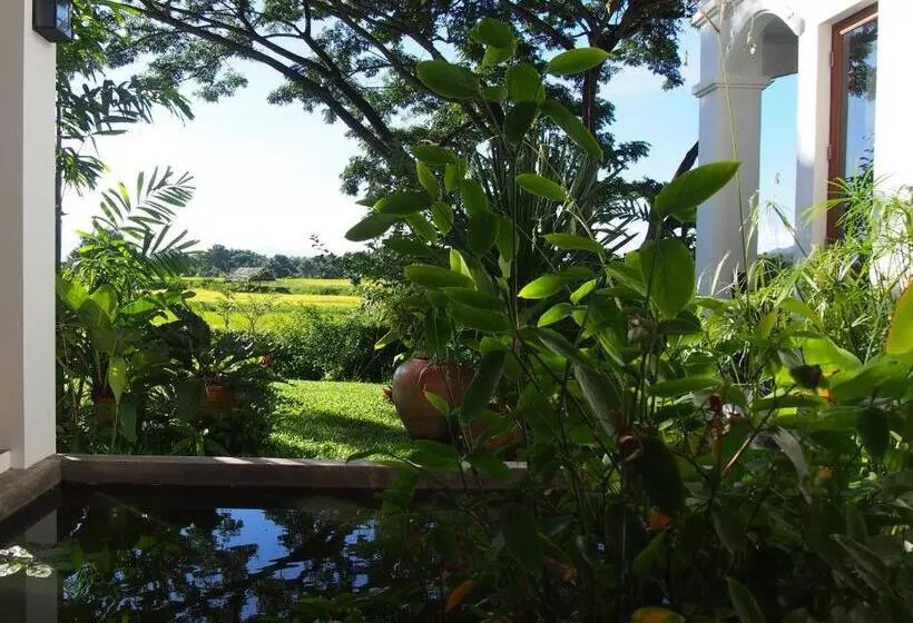 ベッドアンドブレックファースト Villa Albizia, Chiang Mai