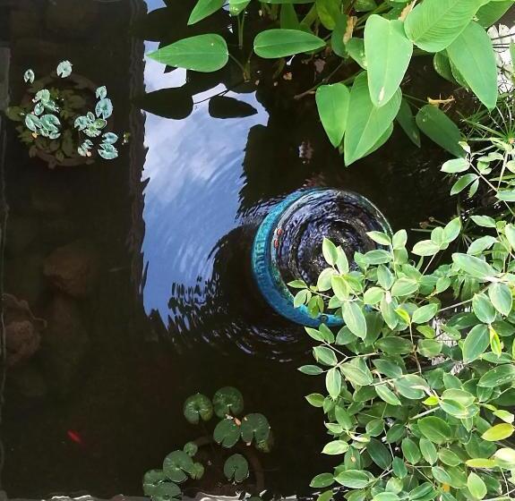 مبيت وإفطار Villa Albizia, Chiang Mai