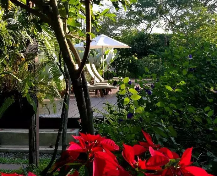 ベッドアンドブレックファースト Villa Albizia, Chiang Mai