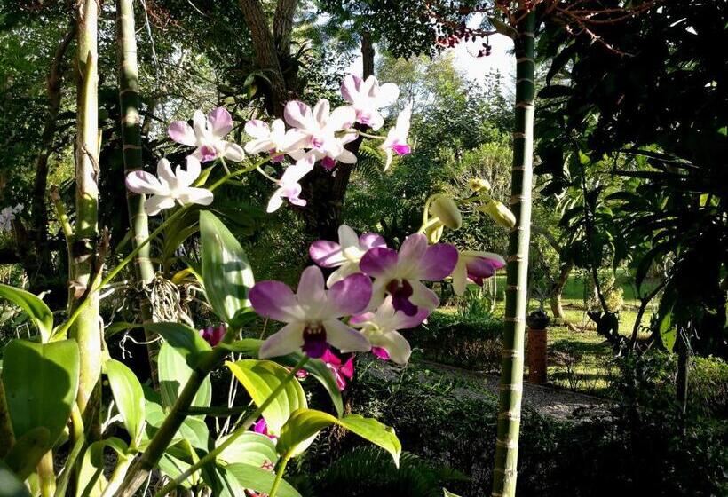 مبيت وإفطار Villa Albizia, Chiang Mai