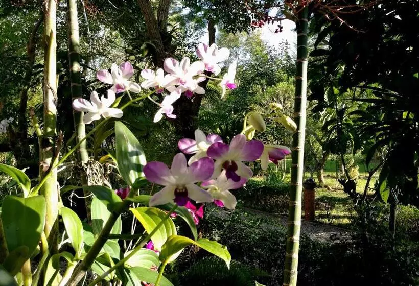 ベッドアンドブレックファースト Villa Albizia, Chiang Mai