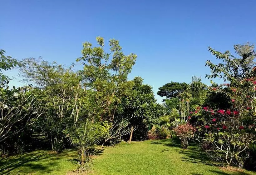 ベッドアンドブレックファースト Villa Albizia, Chiang Mai