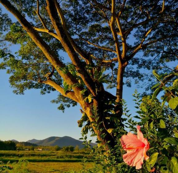 مبيت وإفطار Villa Albizia, Chiang Mai
