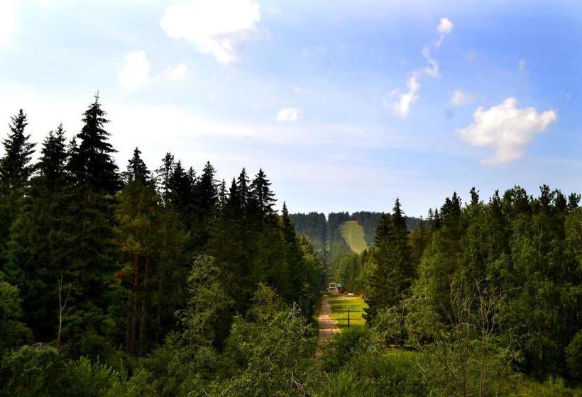 هتل Guest House Puteshestvennik