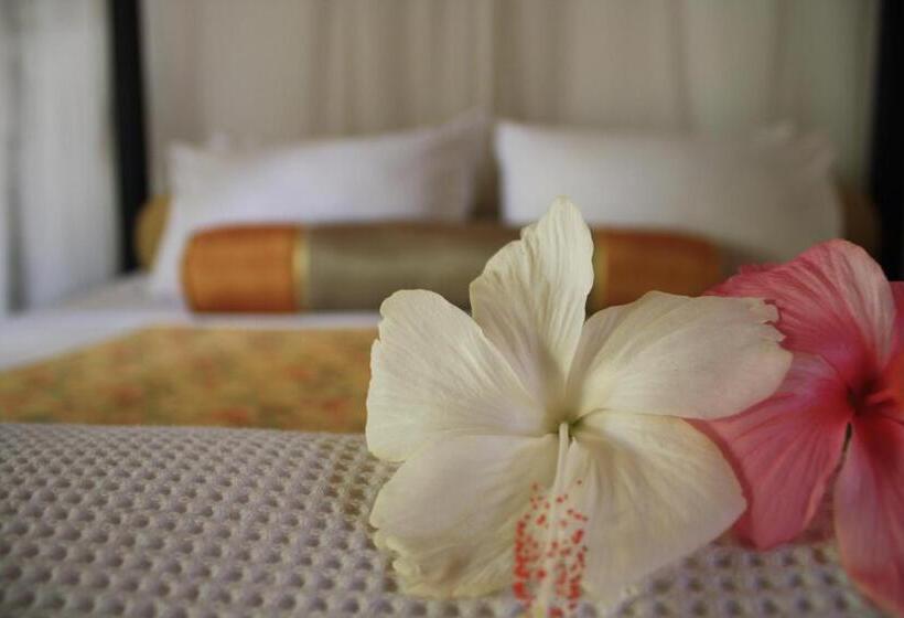 אתר נופש Seapines & Liberg