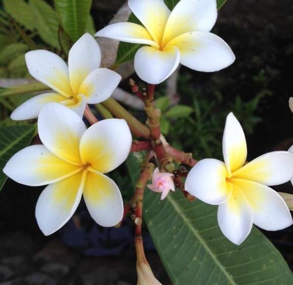 אתר נופש Seapines & Liberg