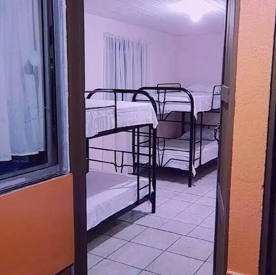 هاستل Alpha Arenal